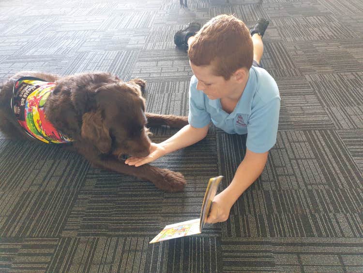 Boy reading a book, lying with a dog