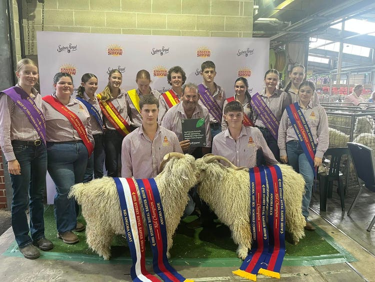 A collection of Agricultural students and goats with wining sashes